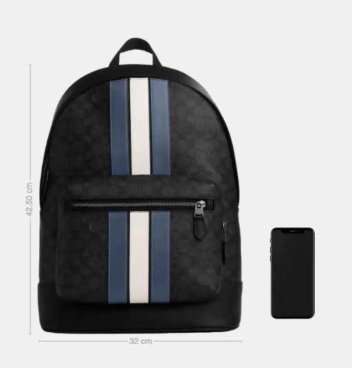 Authentic Women's Backpack Neu - Women'S Best Bags For Work review and price
