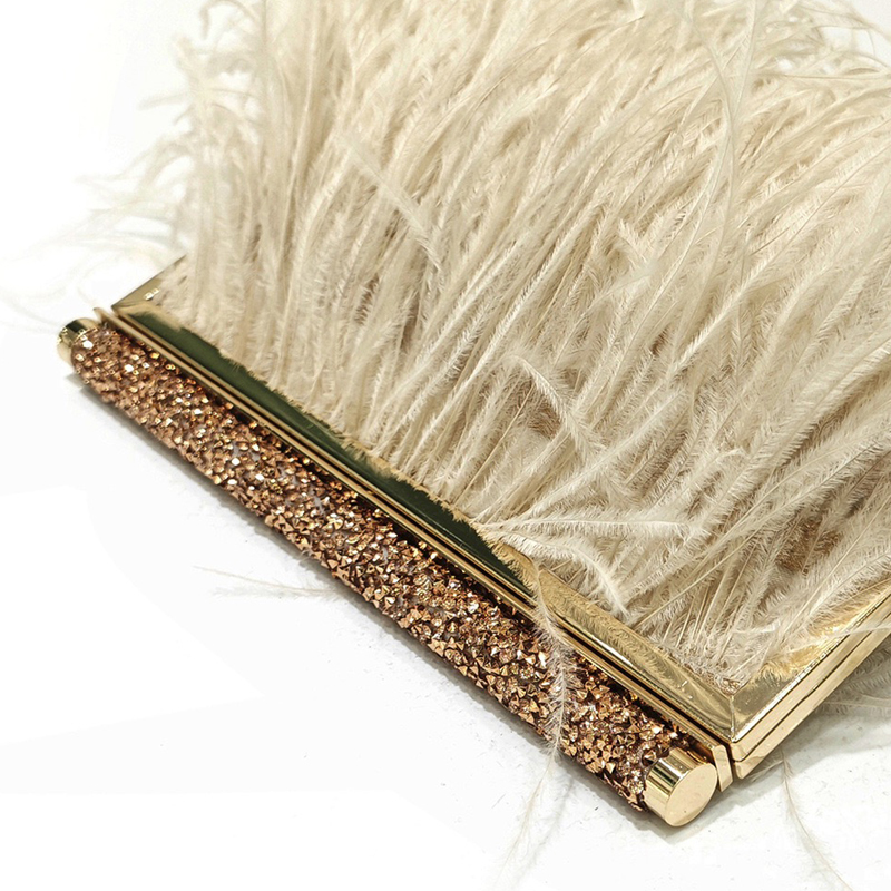 Fashion Clutch Metal frame Eve - Women Bags On Sale review and price